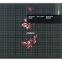 Violator [CD + DVD]