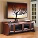 JSP Industries S-50-C-X and S-50-FS-MK-X Serenade Flat Screen Home Theater Credenza and Support