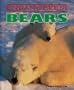 Bears (Endangered)