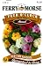 Ferry-Morse 1932 Four O'Clock Flower Seeds, Mixed Colors (7.75 Gram Packet)