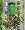 Topsy Turvy Tomato/Herb/Seed Upside Down Planter Kit