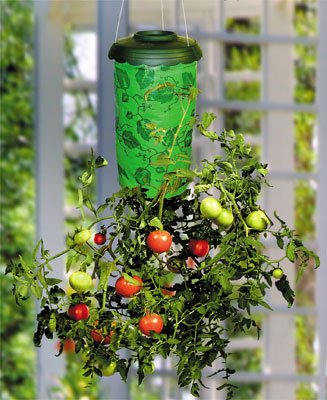 Topsy Turvy Tomato/Herb/Seed Upside Down Planter Kit