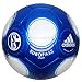 Sports : FC Schalke 04 Europass Ball 2009