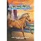 Phantom Stallion: Wild Horse Island (Terri Farley) Books