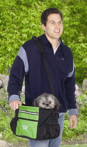GREEN/Ride Along Pet Bicycle Carrier
