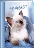 Samtpfoten 2012. Terminplaner