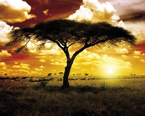 Afrika - Sonnenuntergang In Der