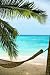 Beach Paradise - 72