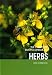 Book Dumont's Lexicon of Herbs: Growing - Cuisine - Cosmetics - Health Effects