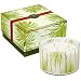 Thymes Frasier Fir Candle 17 oz / 480 g