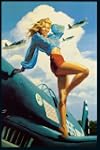 Poster USA - 61x91 - Bild Flieger Pin...