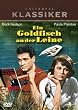 Ein Goldfisch an der Leine