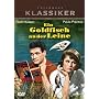 Ein Goldfisch an der Leine