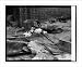 Historic Print (L): Intoxicated ducks at 611 Yon.[?] St., 9/5/25