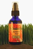 Homework Help Wellness Oil 2 fl. oz.