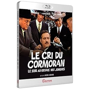 Le cri du cormoran le soir au-dessus des jonques [Blu-ray]