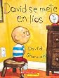 David Se Mete En Lios (David Gets In Trouble) (Turtleback School & Library Binding Edition)