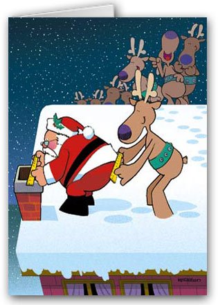 Measured to Fit Christmas Card 12 cards/ 13 envelopes