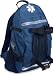 Arsenal 13487 Back Pack Trauma