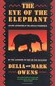 The Eye of the Elephant: An Epic Adventure in the African Wilderness