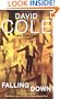 Falling Down (Laura Winslow Mysteries)