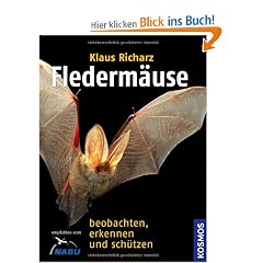 Flederm�use: Beobachten, erkennen und sch�tzen