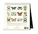 Cavallini Papers & Co CAL16-16 2016 Butterflies Desk Calendar