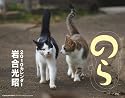 2010猫カレンダー のら