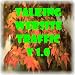 Talking WebSite Traffic v1.0