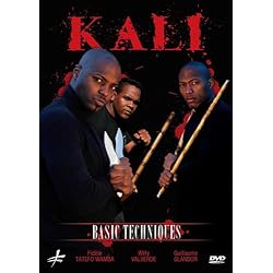 Kali Basic Techniques for Beginners