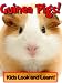 Guinea Pigs! Learn About Guinea Pigs and Enjoy Colorful Pictures - Look and Learn! (50+ Photos of Guinea Pigs)