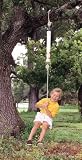 Spring Swing