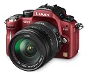 Panasonic Lumix DMC-GH1KEG9R Systemkamera (12 Megapixel, 7,6 cm Display, LiveView, Full-HD) rot mit 14-140 mm Objektiv schwarz