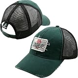 Chase Authentics Dale Earnhardt, Jr. Mesh Trucker Cap