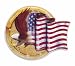 American Flag with Eagle Cake Topper PopTop