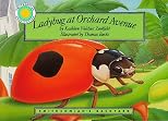 Ladybug at Orchard Avenue (Smithsonian's Backyard (Paperback))