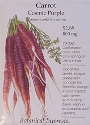 Carrot Cosmic Purple Seeds 175 Seeds