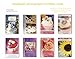 Assorted Handmade Embellished Birthday Cards Box Set 8 Pack Bulk Assortment for Her for Him Cupcake Flowers Mountain Bridge Rivers