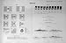 1953-54 Battle Ships Navy Flags Mexico Durango Potosi