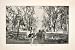 1893 Print Alameda Central Park Fountain Pond Walkway Mexico City Pathway Art - Original Halftone Print