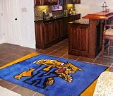 Kentucky Wildcats 5' x 8' Area Rug