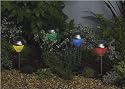 Solar Powered Stainless Steel Dual Function Multiple Color LED Garden Lights - Pack Of 8