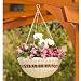 DMC Products 13-Inch Resin Wicker Hanging Basket with Chain Hanger, Antique Brown