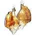 Old World Christmas Golden Seashell Ornament
