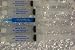 White Smiles Pro 36% Teeth Whitening Gels 4 Huge 10ml Gels Plus NEW FCP Enamel Gel / 40m 51qsjHbC37L. SL75 White Smiles Pro 36% Teeth Whitening Gels 4 Huge 10ml Gels Plus NEW FCP Enamel Gel / 40m