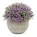 Velener Mini Plastic Artificial Pine Ball Topiary Plant with Pots for Home Decor (Purple Clover)