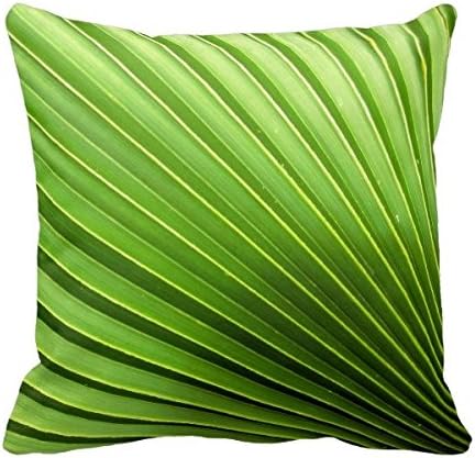 DecorModern Macaroni And Cheese Throw Pillow Cover For Sofa 18 X 18