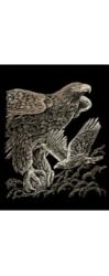 Copper Engraving Hawks