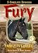 Fury: Family TV Classic