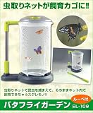 バタフライガーデン　EL-109